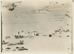 Image of Eskimo [Inughuit] Camp